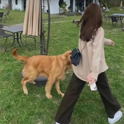 明天我不是羔羊